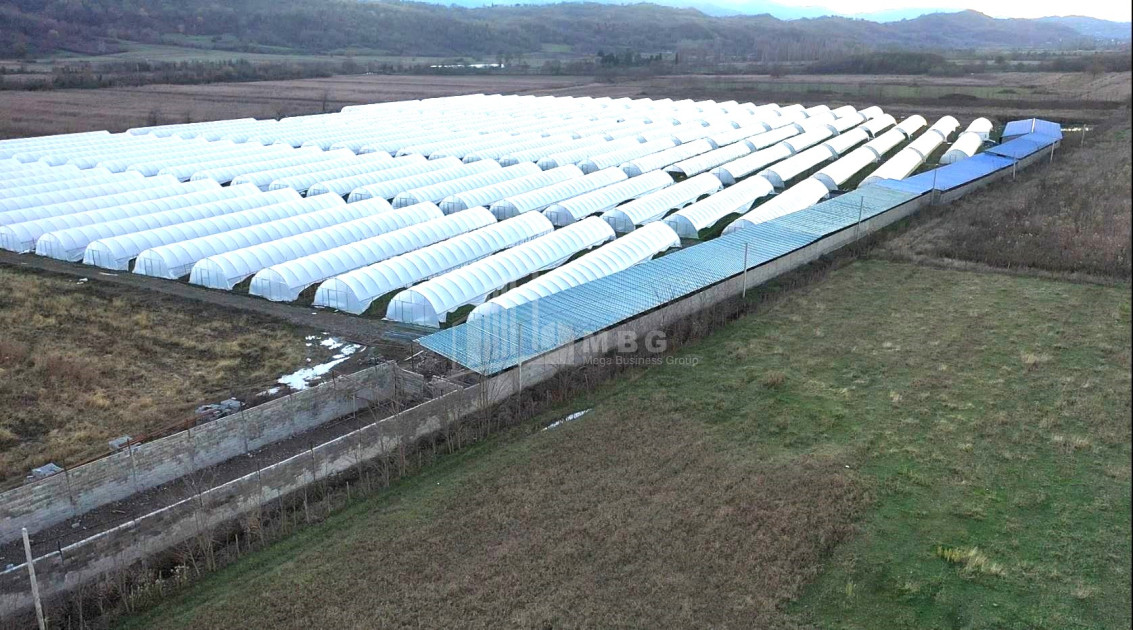 იყიდება მიწის ნაკვეთი ვანი იმერეთი