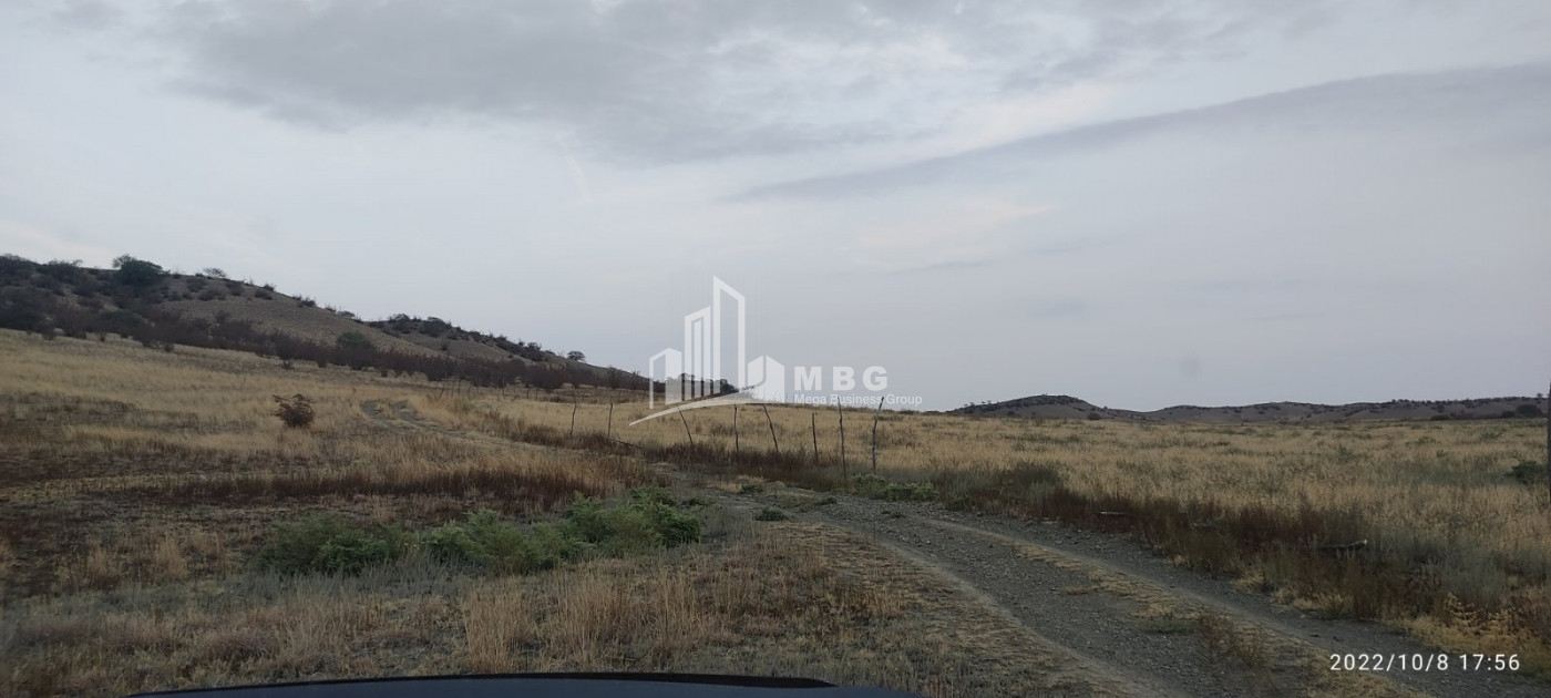 Продается Земля Квемо Бодбе Сигнаgи Кахети