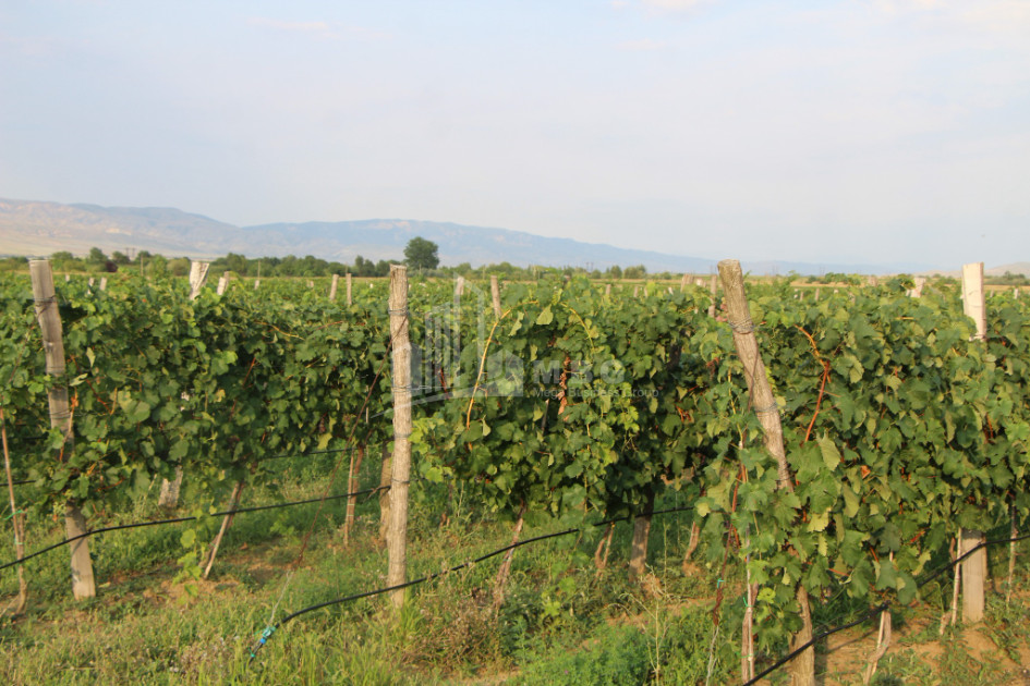 იყიდება კომერციული ფართი დოესი კასპი შიდა ქართლი