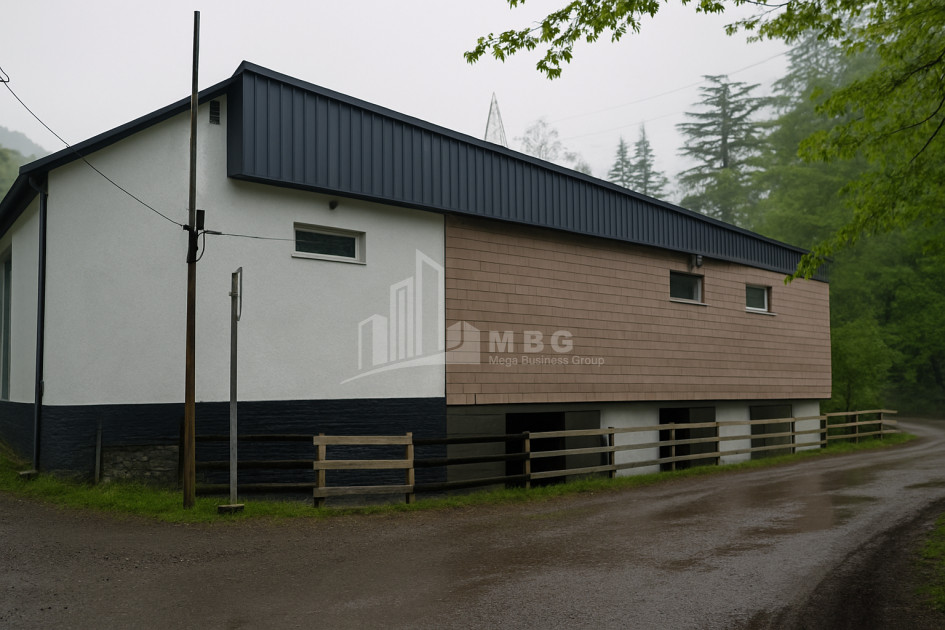 For Sale Commercial Nabeghlavi Chokhatauri Municipalities of Guria