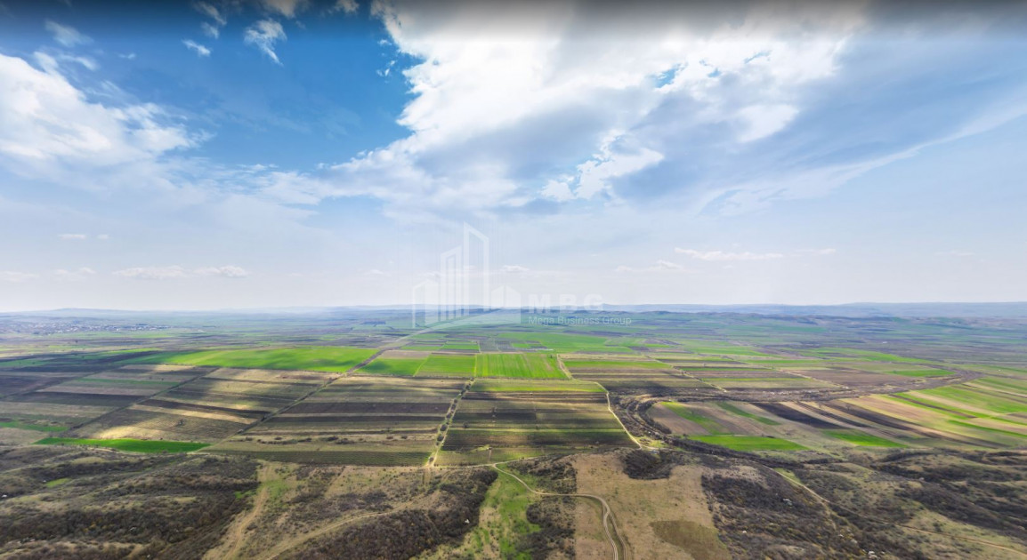 Продается Земля Квемо Бодбе Сигнаgи Кахети