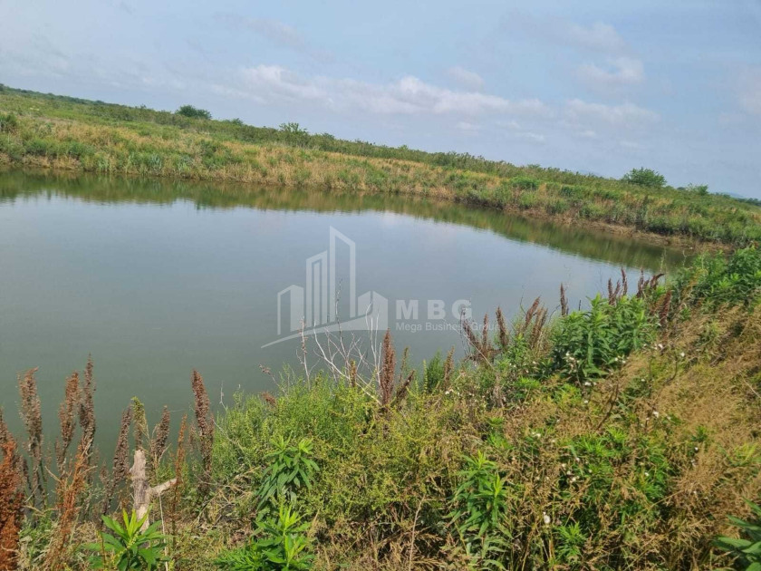 იყიდება მიწის ნაკვეთი სენაკი სამეგრელო   ზემო სვანეთი