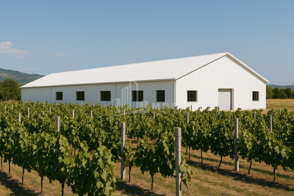 იყიდება კომერციული ფართი დოესი კასპი შიდა ქართლი