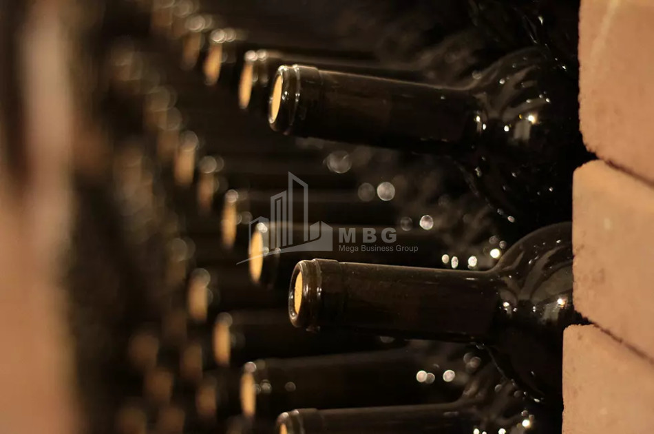 Продается Коммерческий Хашми Сагареджо Кахети