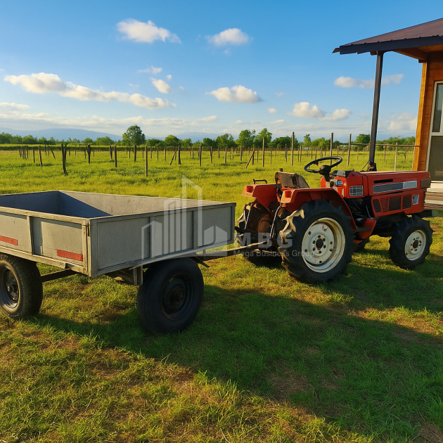 For Sale Land Vartsikhe Baghdati Imereti