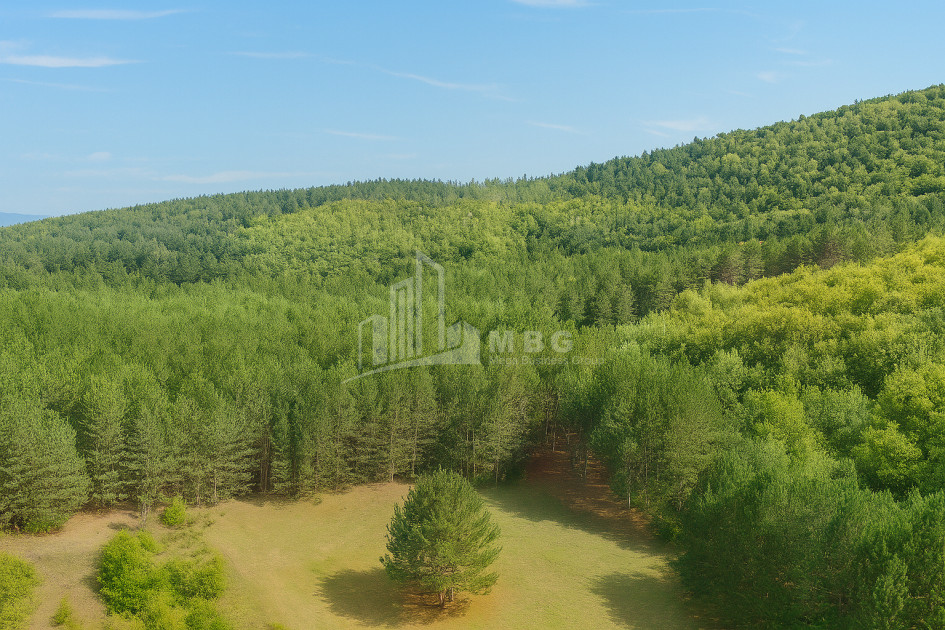 Продается Земля Городок Сурами Хашури Шида Картли