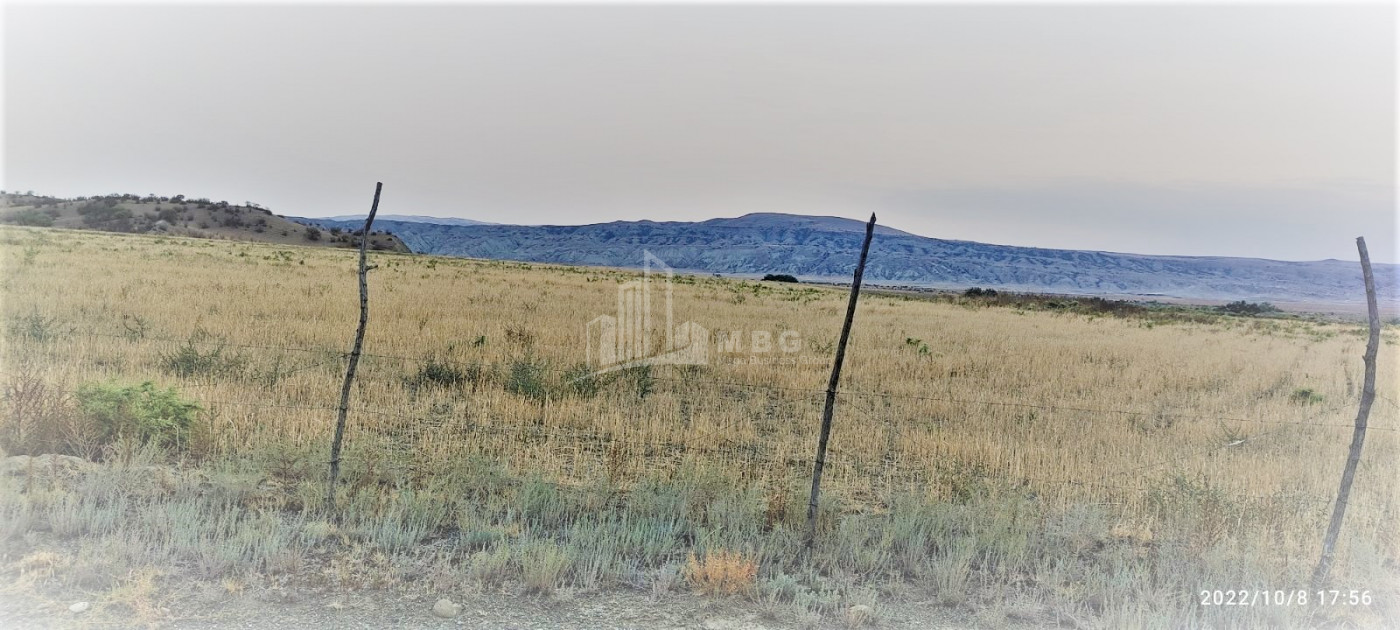 Продается Земля Квемо Бодбе Сигнаgи Кахети