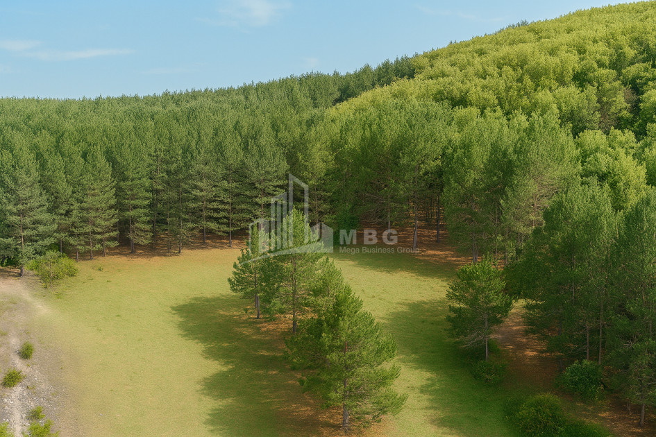 Продается Земля Городок Сурами Хашури Шида Картли