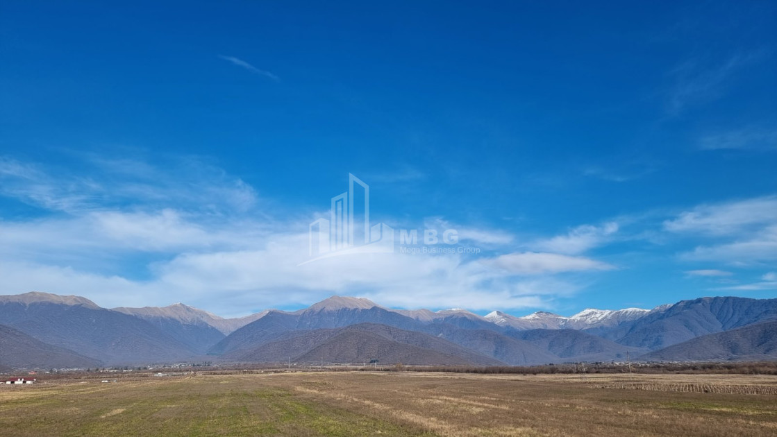 For Sale Land Eniseli Kvareli Kakheti