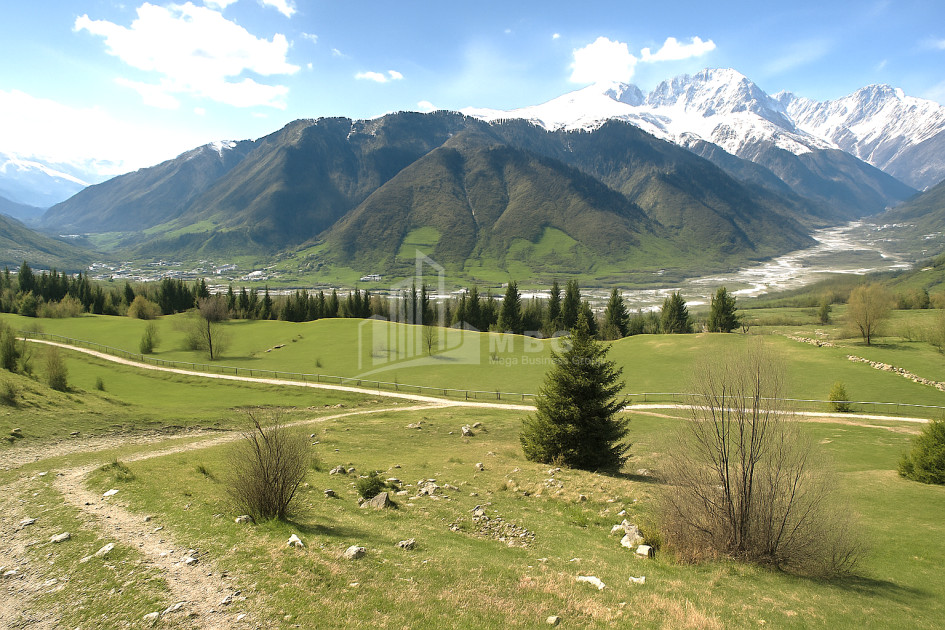 For Sale Land Mestia Samegrelo   Upper Svaneti