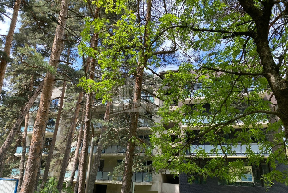 For Sale Flat Manglisi Tetritskaro Kvemo Kartli