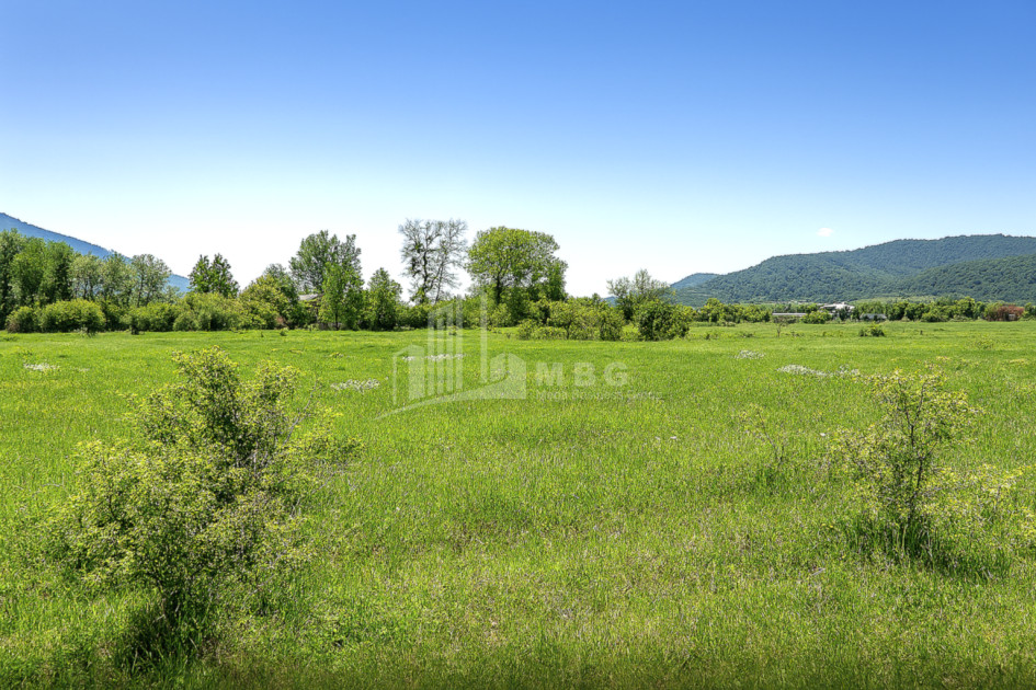 იყიდება მიწის ნაკვეთი ქვემო ნაქალაქარი თიანეთი მცხეთა   მთიანეთი