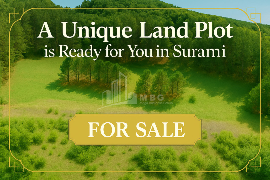 Продается Земля Городок Сурами Хашури Шида Картли