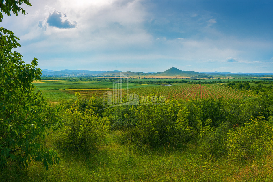 Продается Земля Болниси Квемо Картли