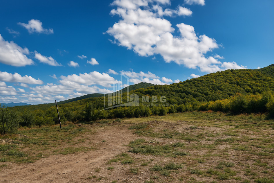 იყიდება მიწის ნაკვეთი სიღნაღი კახეთი