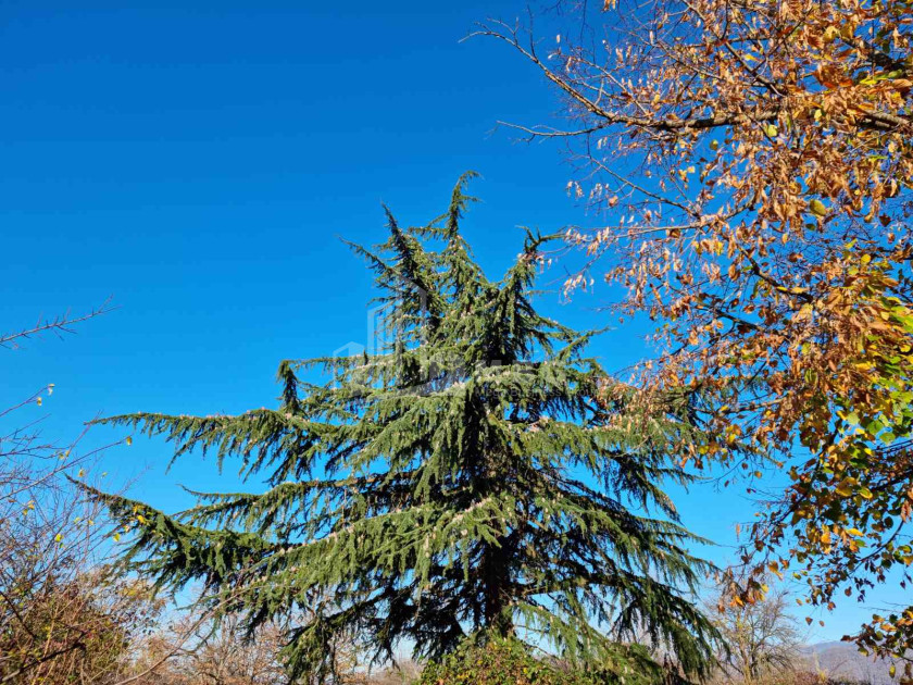 For Sale Land Eniseli Kvareli Kakheti