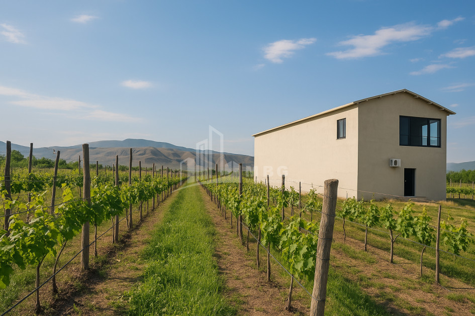 იყიდება კომერციული ფართი დოესი კასპი შიდა ქართლი