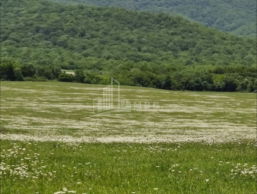 Продается Земля Гомбори Сагареджо Кахети
