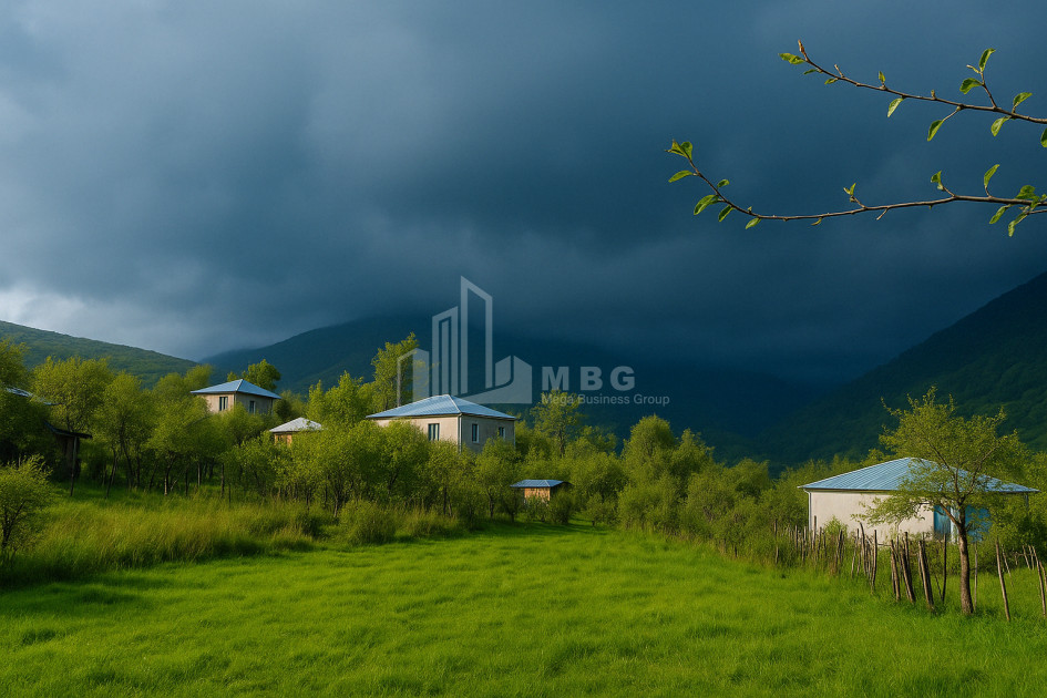 Продается Земля Иста Амбролаури Рача   Лечхуми Квемо Сванети