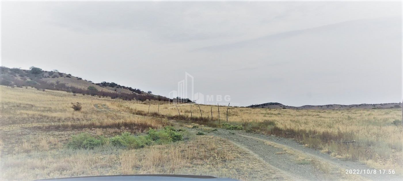 Продается Земля Квемо Бодбе Сигнаgи Кахети