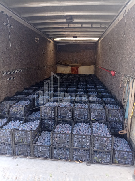 Продается Земля Бакурцихе Гурджаани Кахети