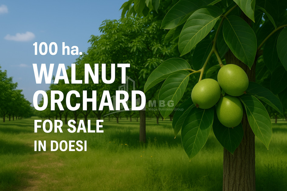 Продается Земля ли Каспси Шида Картли