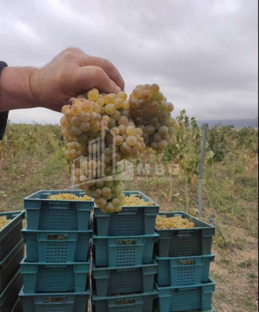 იყიდება კომერციული ფართი დოესი კასპი შიდა ქართლი