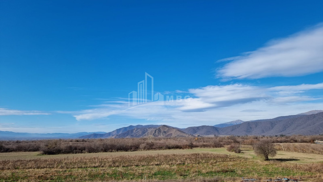 For Sale Land Eniseli Kvareli Kakheti