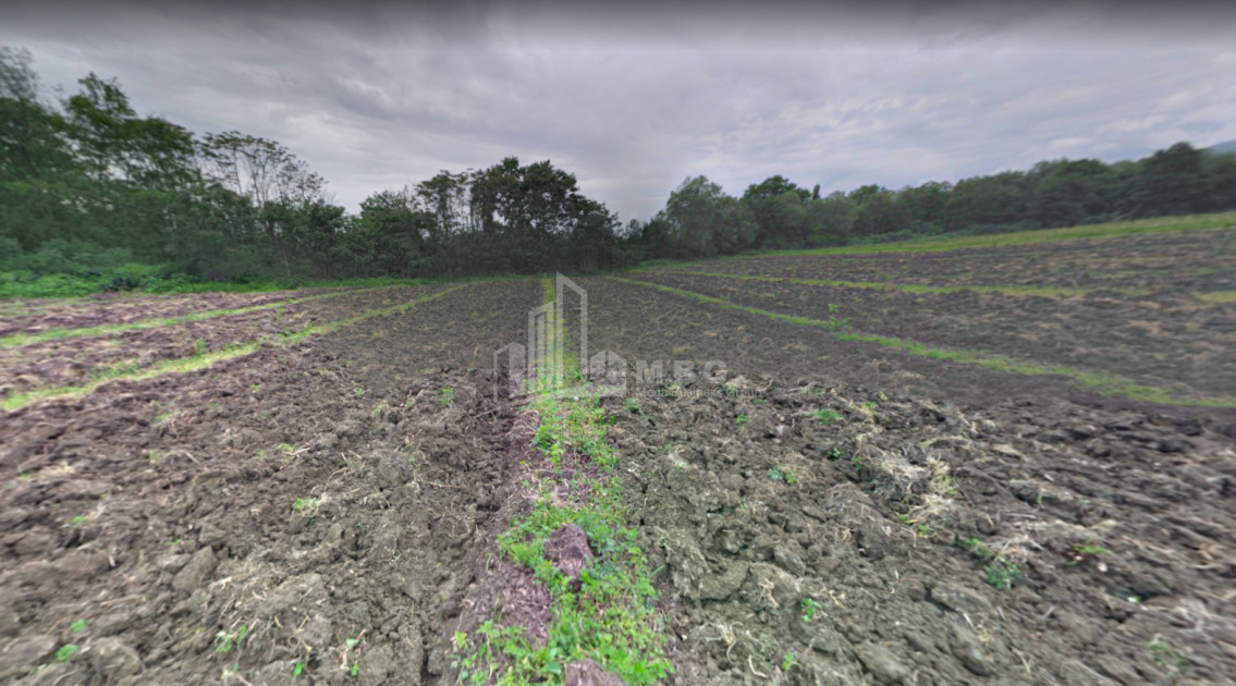 For Sale Land Kvareli Kakheti