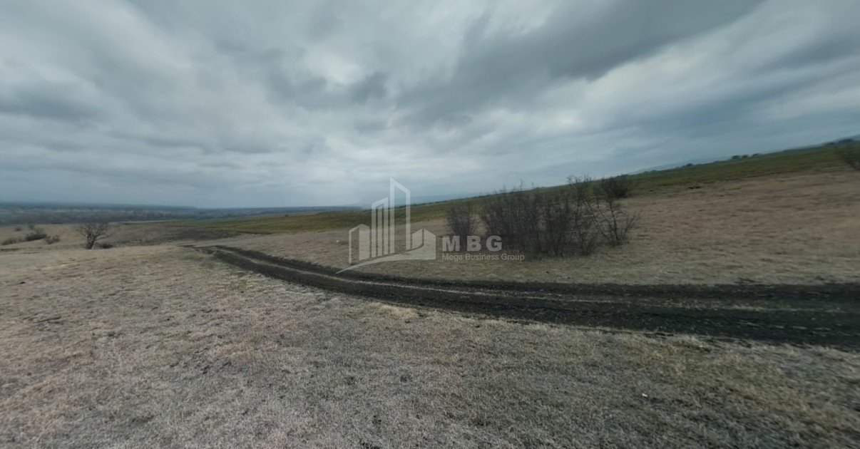 Продается Земля Квемо Бодбе Сигнаgи Кахети