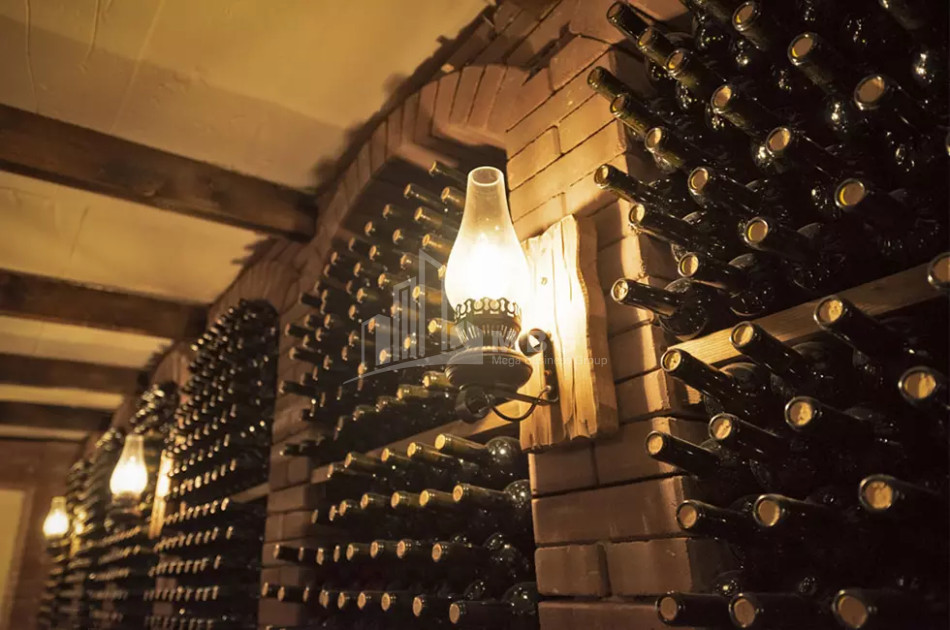 Продается Коммерческий Хашми Сагареджо Кахети