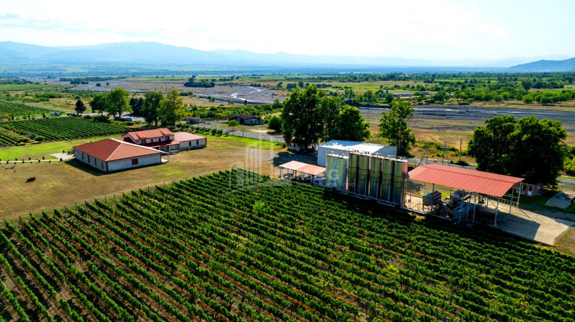 For Sale Commercial Shilda Kvareli Kakheti