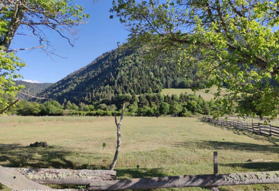 იყიდება მიწის ნაკვეთი სადგერი ბორჯომი სამცხე   ჯავახეთი