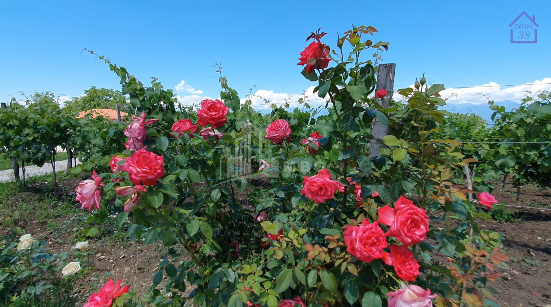 Продается Коммерческий Телави Кахети