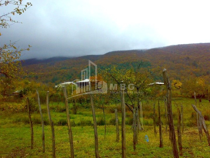 Продается Земля Иста Амбролаури Рача   Лечхуми Квемо Сванети