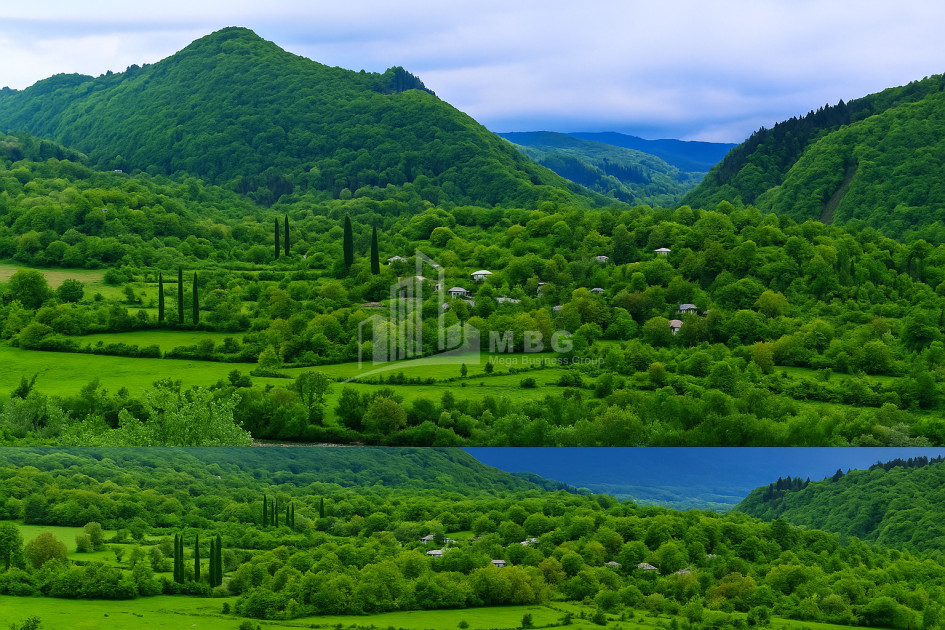For Sale Land Baji Ambrolauri Racha   Lechxumi Kvemo Svaneti