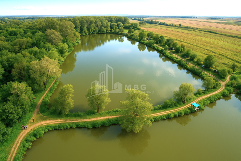 Продается Земля Кварели Кахети