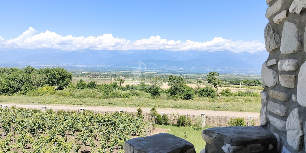 Продается Коммерческий Телави Кахети