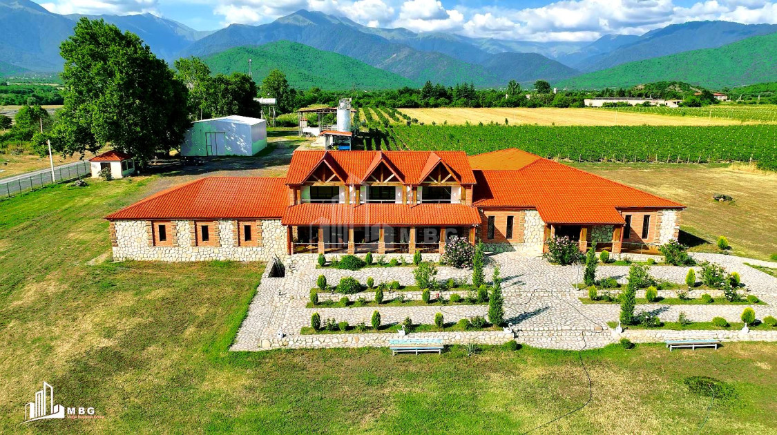 For Sale Commercial Shilda Kvareli Kakheti