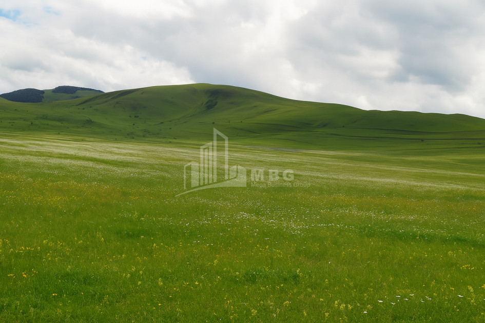 For Sale Land Dmanisi City Dmanisi Kvemo Kartli