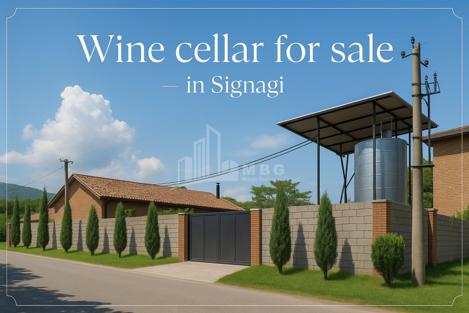 Продается Коммерческий Сигнаgи Кахети