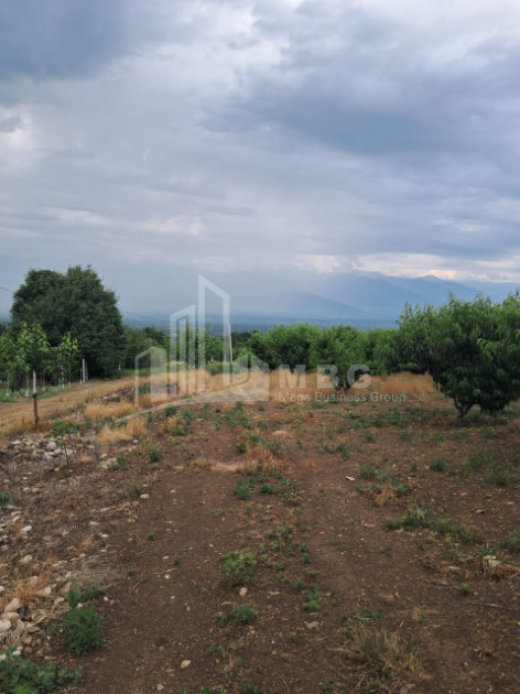 იყიდება მიწის ნაკვეთი თელავი კახეთი
