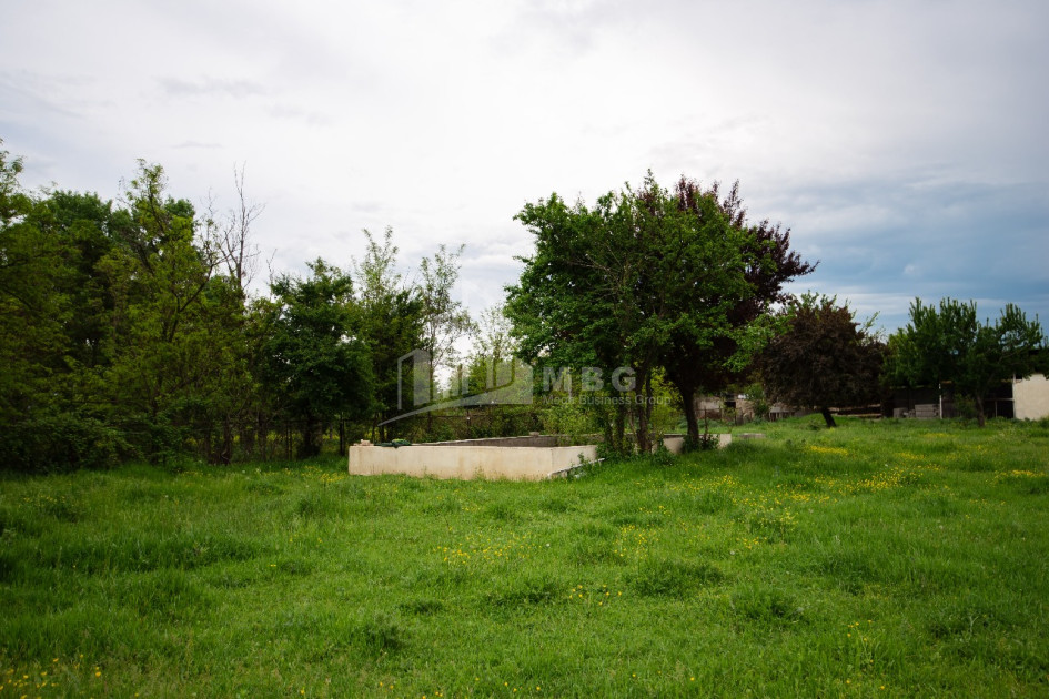 Продается Земля Цилкани Мцхета Мцхета   Мтианети