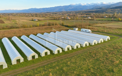 იყიდება მიწის ნაკვეთი ვანი იმერეთი