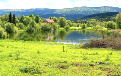 For Sale Land Nikortsminda Ambrolauri Racha   Lechxumi Kvemo Svaneti