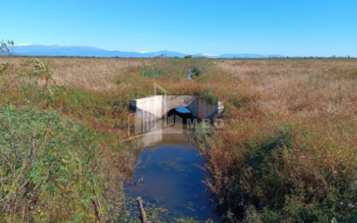 იყიდება მიწის ნაკვეთი სენაკი სამეგრელო   ზემო სვანეთი