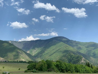 Продается Коммерческий Садгери Боржоми Самцхе   Джавахети