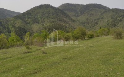 იყიდება მიწის ნაკვეთი მზეთამზე ბორჯომი სამცხე   ჯავახეთი