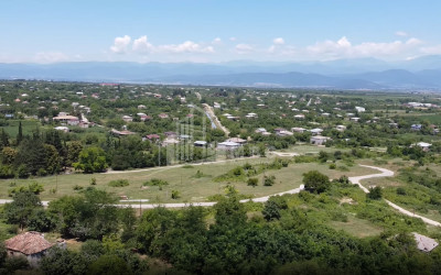 For Sale Commercial Atskuri Akhmeta Kakheti