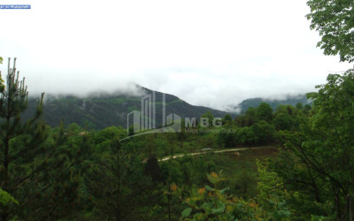 Продается Земля Иста Амбролаури Рача   Лечхуми Квемо Сванети